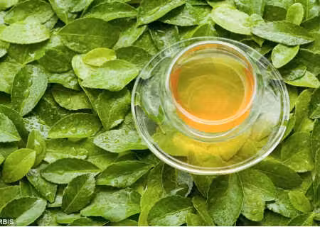 chaverde