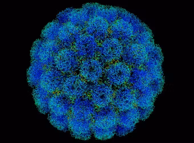 virus
