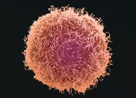 super-301-cancer
