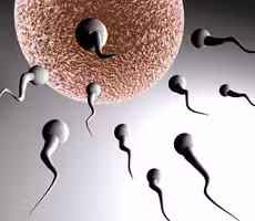 vasectomia230X2001