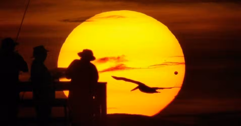 venus_sol