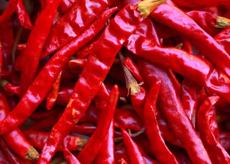 Pimenta