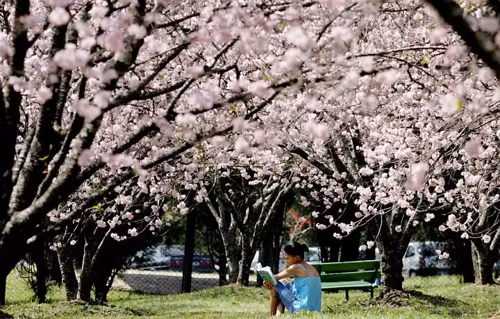 parque_cheiro