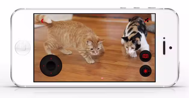 Petcube2
