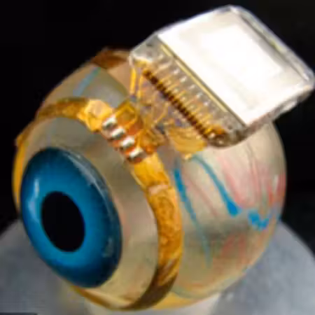 nano_retina