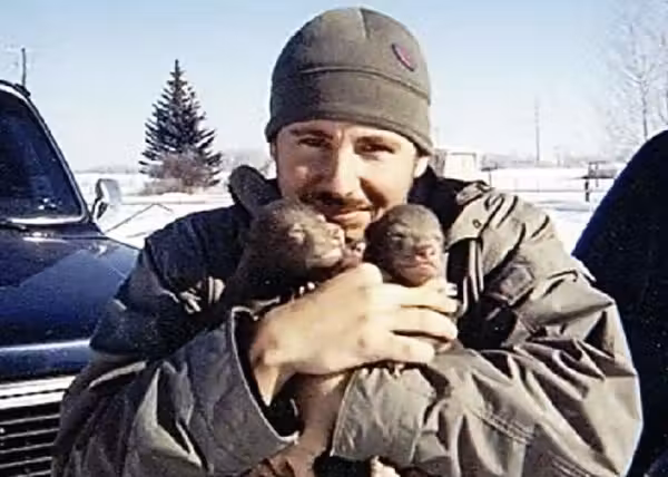 bears1
