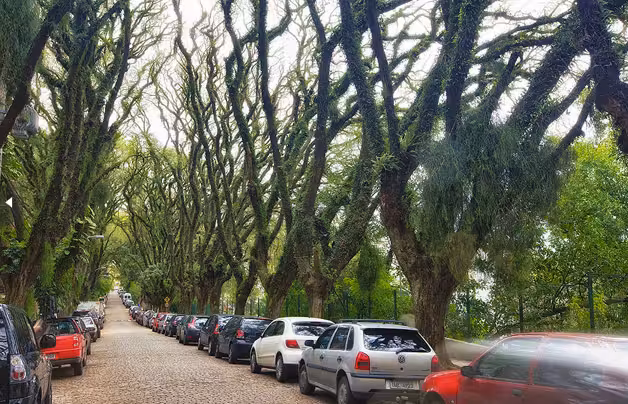 rua_mais_bonita2