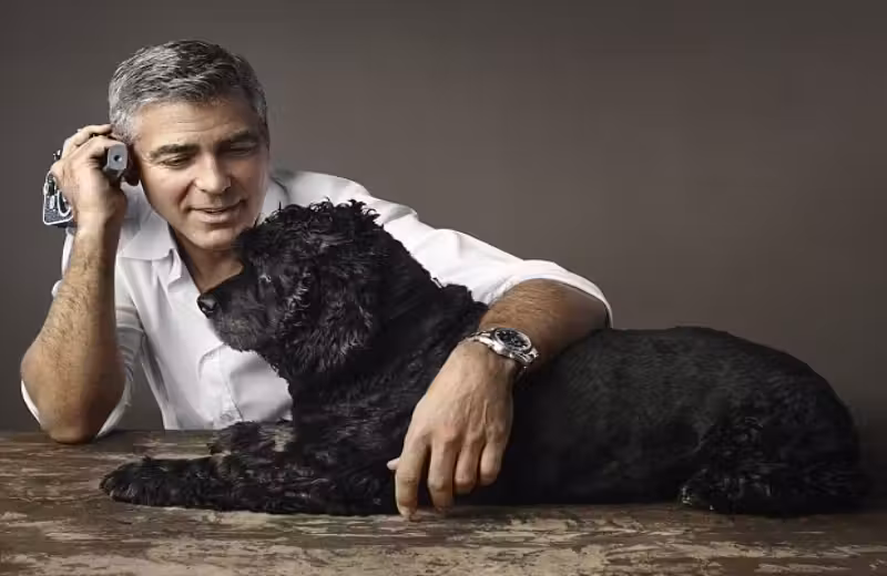 Foto: Omega|Foto: Clooney e sua mulher Amal passeando com Einstein