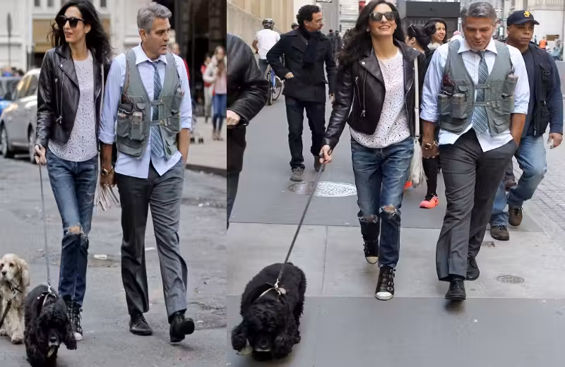 Foto: Clooney e sua mulher Amal passeando com Einstein