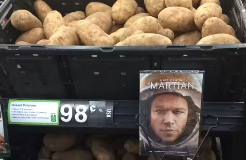 batatas_mkt2