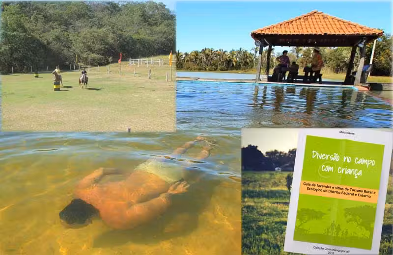 Fotos: divulgação
