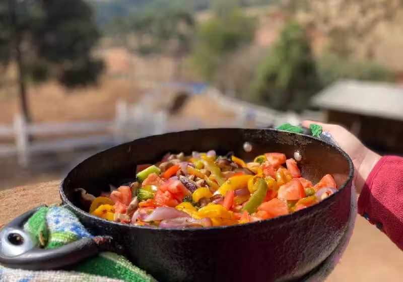 Receita do Dahl, prato vegano comum na culinária da Índia - Foto: Santuário Vale da Rainha