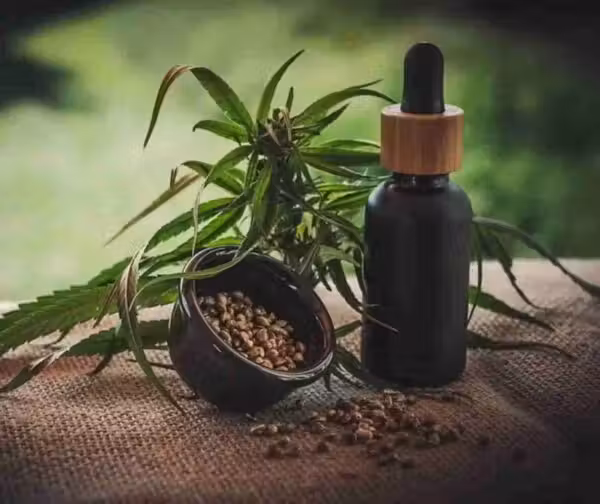 O salvo-conduto permite que ela importe até 20 sementes de cannabis por ano - Foto: Pixabay