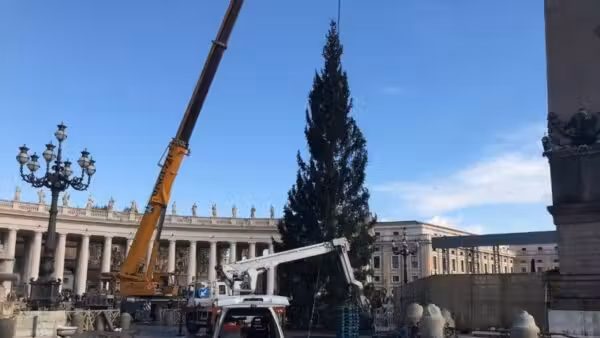 O presépio, a arvore de Natal e a manjedoura foram construído por artistas convidados - Foto: Vatican News