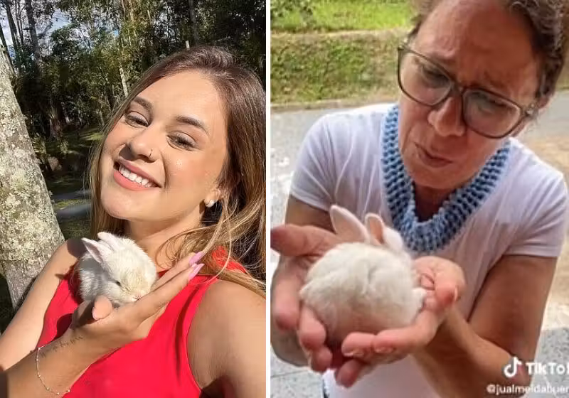 Ao comprar o coelho escondido, a filha pensou que ia levar uma bronca enorme da mãe, mas aconteceu justamente o contrário! - Fotos: reprodução / TikTok