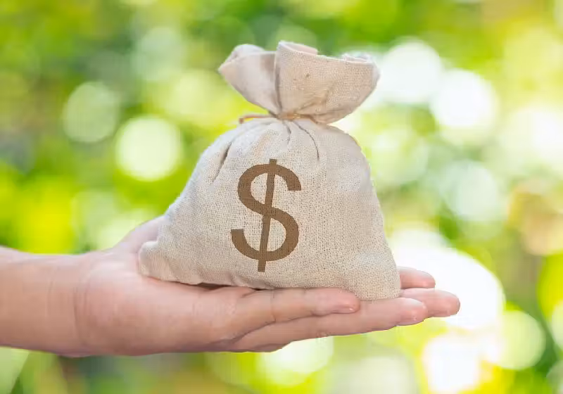 Franquias de baixo investimento inicial podem dar certo, mas é preciso buscar orientação especializada antes de se aventurar - Foto: Freepik