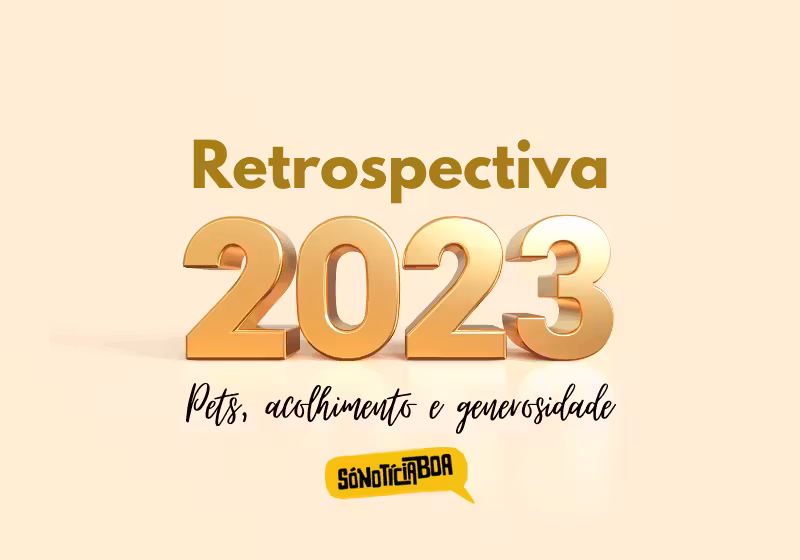 A segunda parte da retrospectiva do bem traz as melhores notícias de 2023. Veja que emocionantes! - Foto: Só Notícia Boa