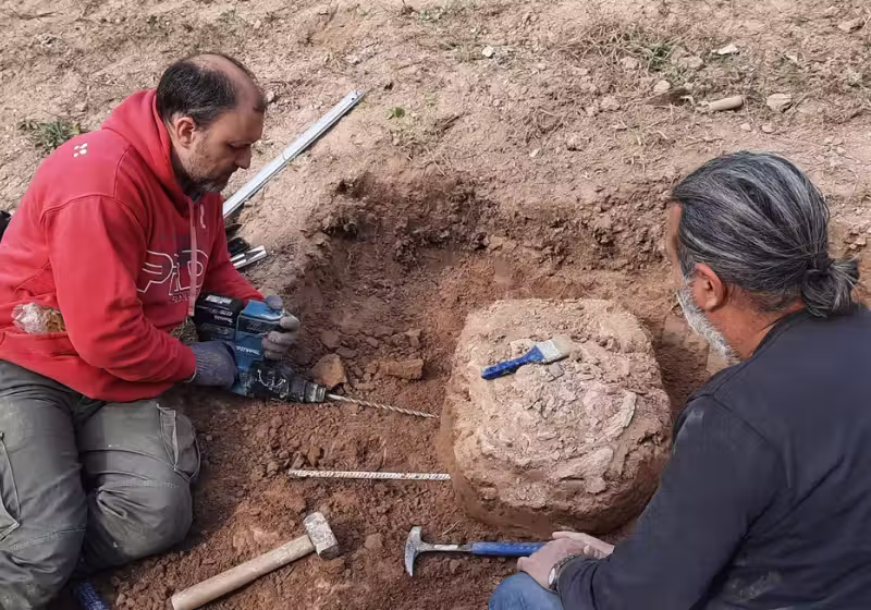 Pesquisadores localizam um fóssil de tatu de 21 mil anos, que mostra que humanos viviam na América do Sul antes do que se pensava. Foto: CNN Espanhol