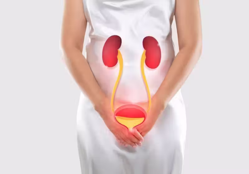 A FDA, dos EUA, aprovou o primeiro antibiótico oral para infecções urinárias recorrentes em 30 anos. O tratamento promete ser mais eficaz. Veja Foto: Pixabay