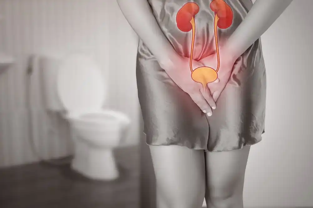 O medicamento aprovado pela FDA é o primeiro antibiótico oral para infecções urinárias recorrentes em 30 anos. - Foto: Shutterstock