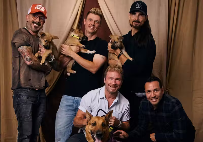 Os Backstreet Boys estrelaram um ensaio para a adoção de pets e posaram para fotos com bichinhos resgatados - Foto:SPCA