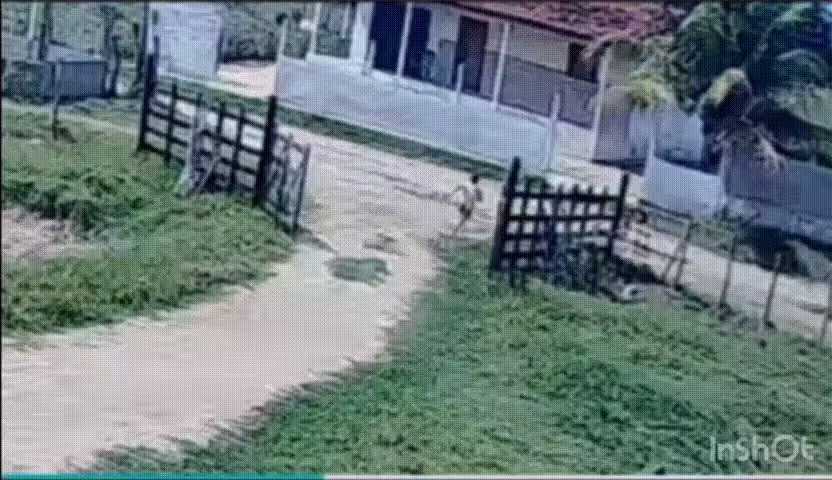 Matheus, depois do susto, foi elogiado pela família. Herói! - Foto: Gazetaweb