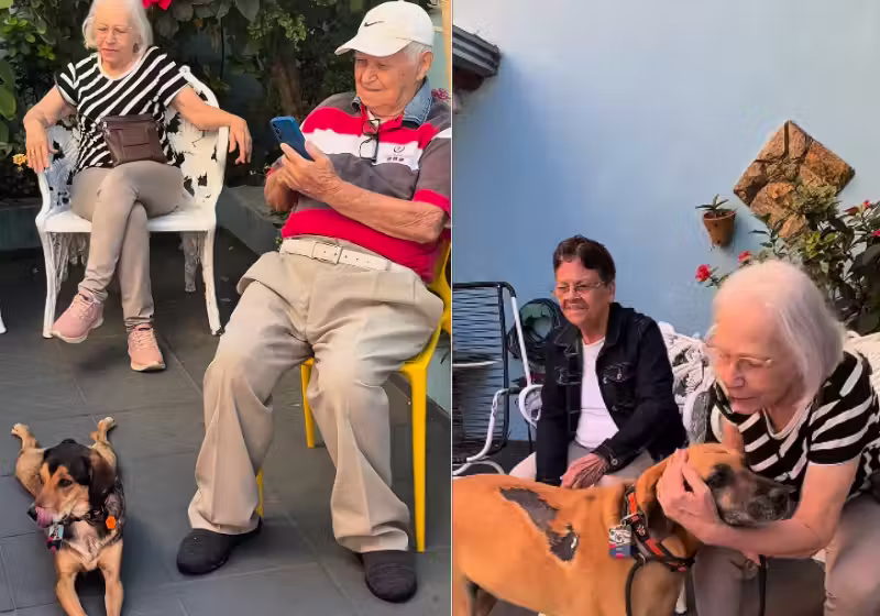 Matuê, o cão caramelo frentista que foi resgatado, usa as horas vagas no emprego para visitar velhinhos de uma casa para idosos em Campinas (SP). - Foto: matueofrentista