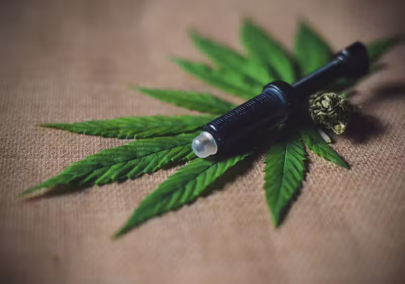 O imposto arrecadado com a venda da maconha legalizada está ajudando famílias vulneráveis nos EUA. - Foto: CBD Infos via Unsplash