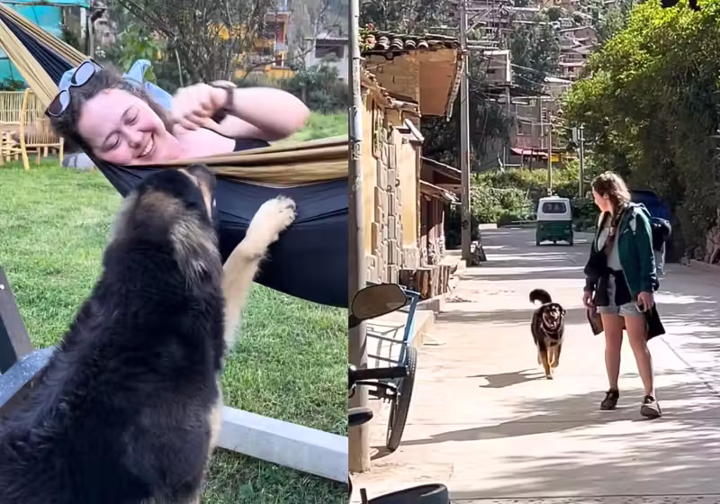 A turista Mirelle estava de férias no Peru e decidiu adotar o cãozinho carinhoso que a seguiu por todos os cantos. - Foto: Mirelle Radley