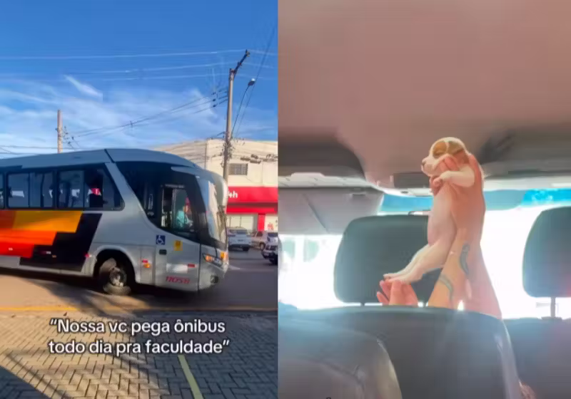A estudante de Veterinária do interior de SP conquistou a internet com os bichinhos no ônibus. - Foto: @malunavet_/Instagram