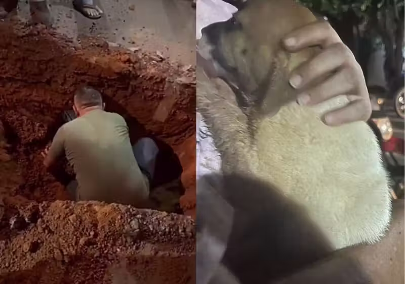 Os moradores, do Mato Grosso, fizeram uma operação de guerra para resgatar a filhote de caramelo presa no bueiro. Ela ganhou o nome de Vitória. - Foto: @protetoraanalucia520/Instagram
