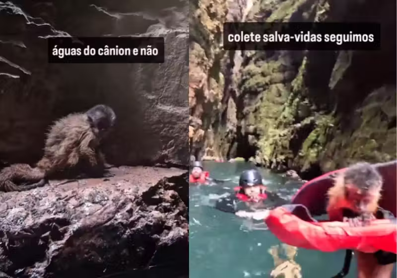 Um guia e turistas que estavam com ele conseguiram resgatar o filhote de macaco que se perdeu da família e não conseguia sair de uma pedra, na Cachoeira do Dragão, Chapada dos Veadeiros (GO). - Foto: @quintaessenciaeco/Instagram