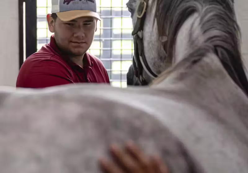 O projeto com os cavalos, no Kentucky (EUA), ajuda dependentes químicos a recomeçarem a vida. - Foto: AP News