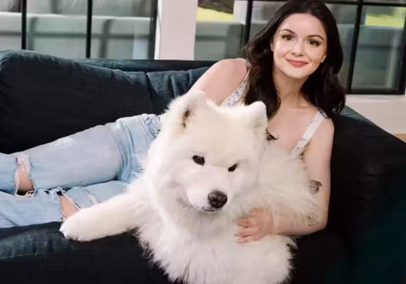 A atriz Ariel Winter, que brilhou na série "Modern Family", hoje se transforma em adolescente para criar armadilhas e capturar pedófilos que agem na internet. - Foto: Diana King/People