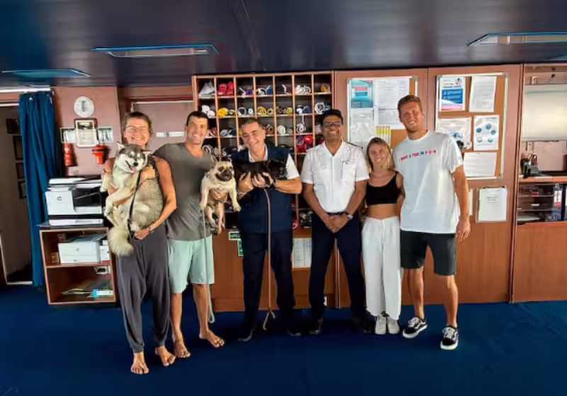 O cruzeiro desvia da rota e resgata quatro pessoas e três cães durante tempestade no Oceano Pacífico. - Foto: Carnival Cruise Line