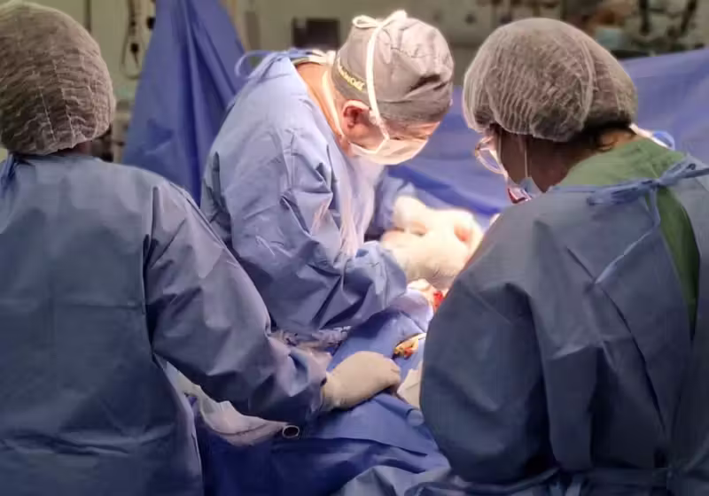 A cirurgia de separação das gêmeas siamesas levou mais de 15 horas e reuniu uma equipe de 60 profissionais. Foto: Hecad