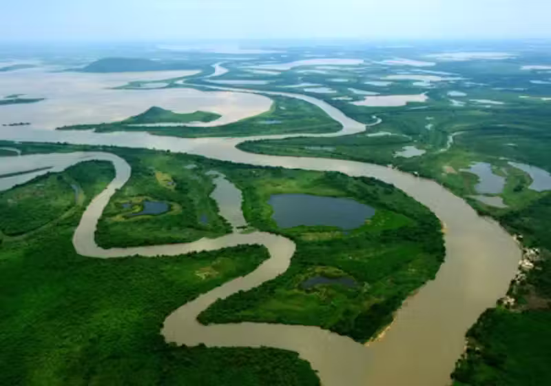 Com a queda do desmatamento no Pantanal, no Cerrado e na Amazônia, o governo diz que é um longo processo de recuperação e esforço. Foto: Ecoa 