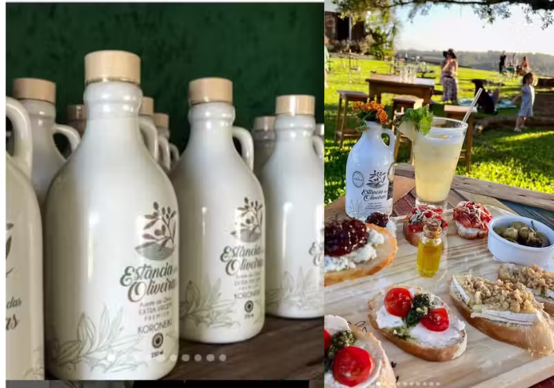 O azeite brasileiro Blend Signature, produzido no Rio Grande do Sul, foi premiadíssimo em um concurso internacional e classificado entre os melhores do mundo. Foto: Estância das Oliveiras