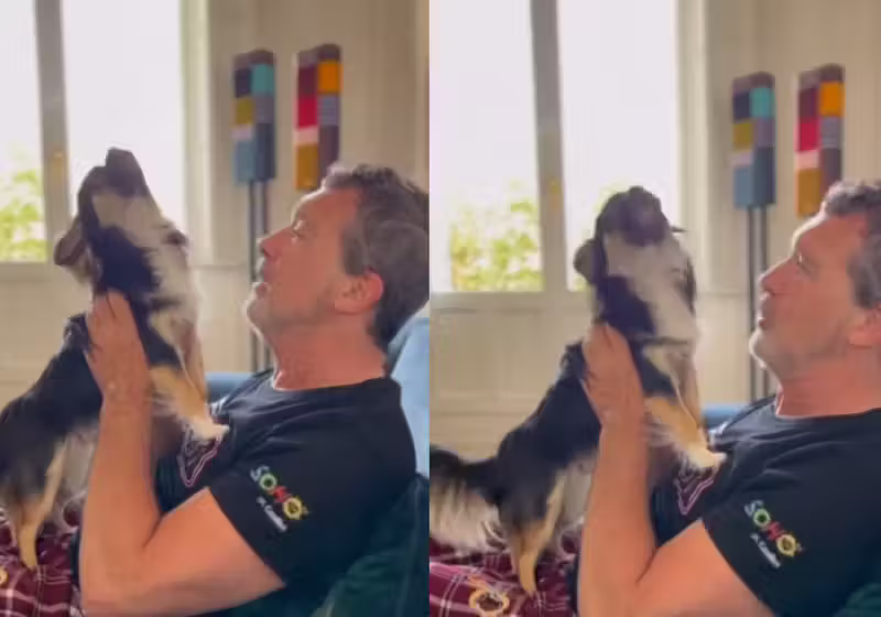 A cachorrinha Gypsy e o ator Antonio Banderas arrasaram no dueto. - Foto: @antoniobanderas/Instagram