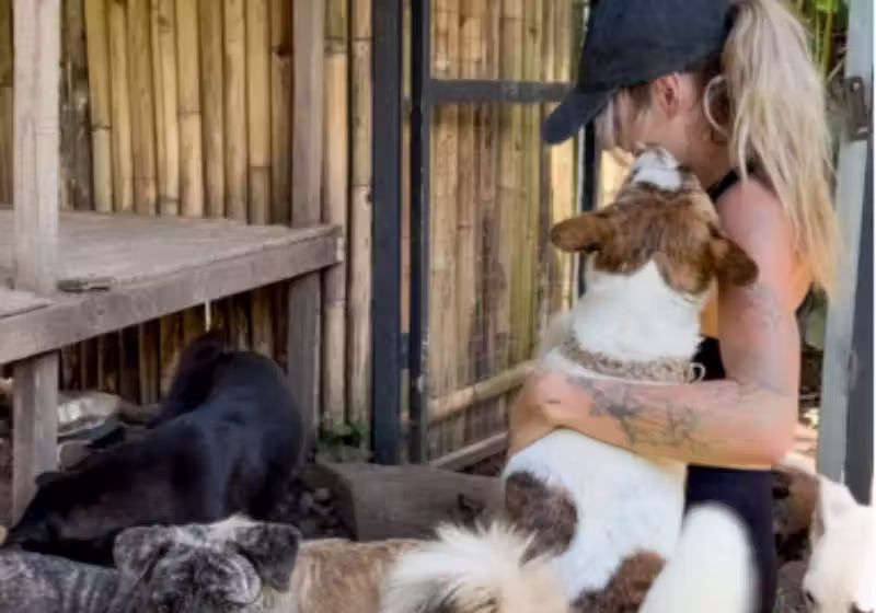 Selena, uma mulher que tomou para si a missão de ajudar esses nove cachorrinhos, abandonados feridos e com fome em Bali, na Indonésia. - Foto: @skinsbuem