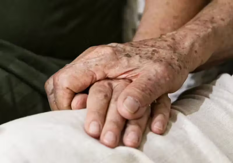 Esta nova terapia genética contra o Alzheimer teve ótimos resultados ao ser usada em camundongos nos Estados Unidos. - Foto: Marcelo Camargo/Agência Brasil
