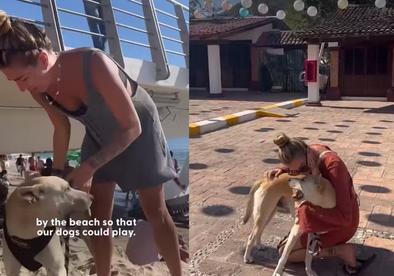A turista Maddie, do Canadá, durante uma viagem ao México. adotou um cachorrinho a pedido do tutor dele, que vivia nas ruas. - Foto: @thedodo/Instagram