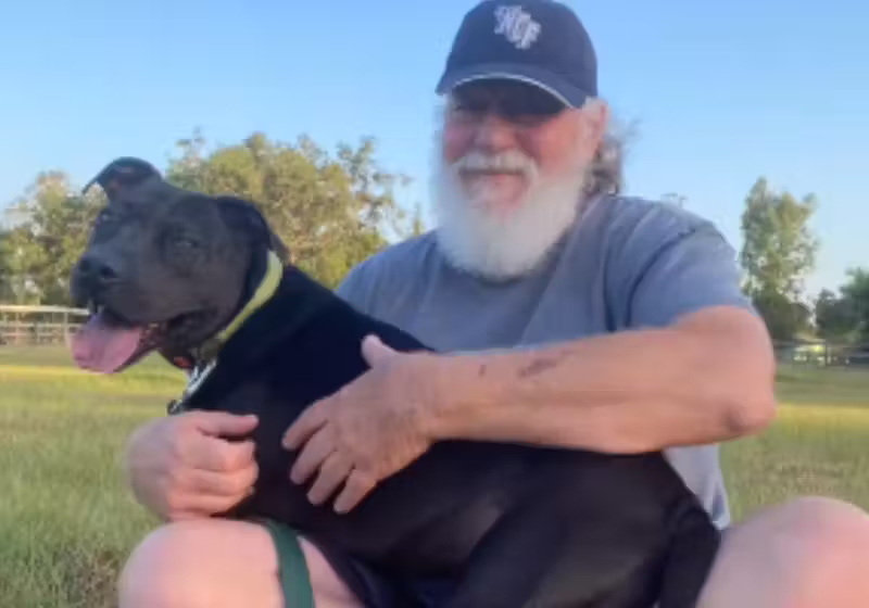 O treinador de cães Morgan Vanderwoude transformou o Stone, um cachorrinho rejeitado num abrigo por ser bravo. Ele agora é dócil e amigável. - Foto: @rightway.rover