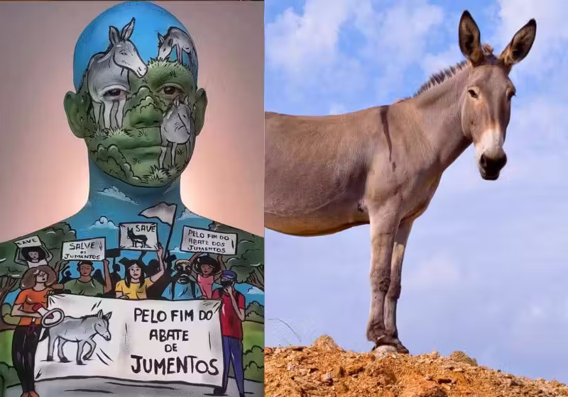 O protesto do artista David Ferreira, do Ceará, contra o abate de jumentos no Nordeste, já foi visto mais de 1,4 milhão de vezes no TikTok. - Fotos: @meninoquesepinta/ Getty Images