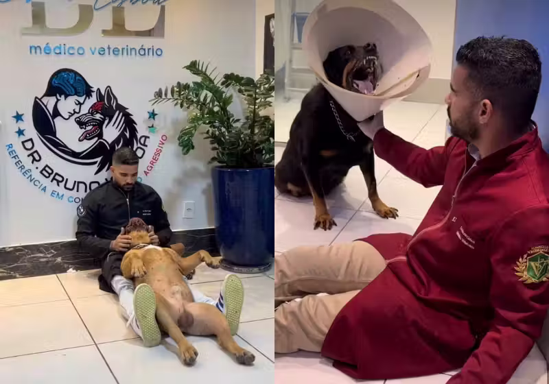 O veterinário Bruno Lisboa ficou conhecido como "encantador" de animais por conseguir dominar os pets mais bravos. - Foto: reprodução redes sociais