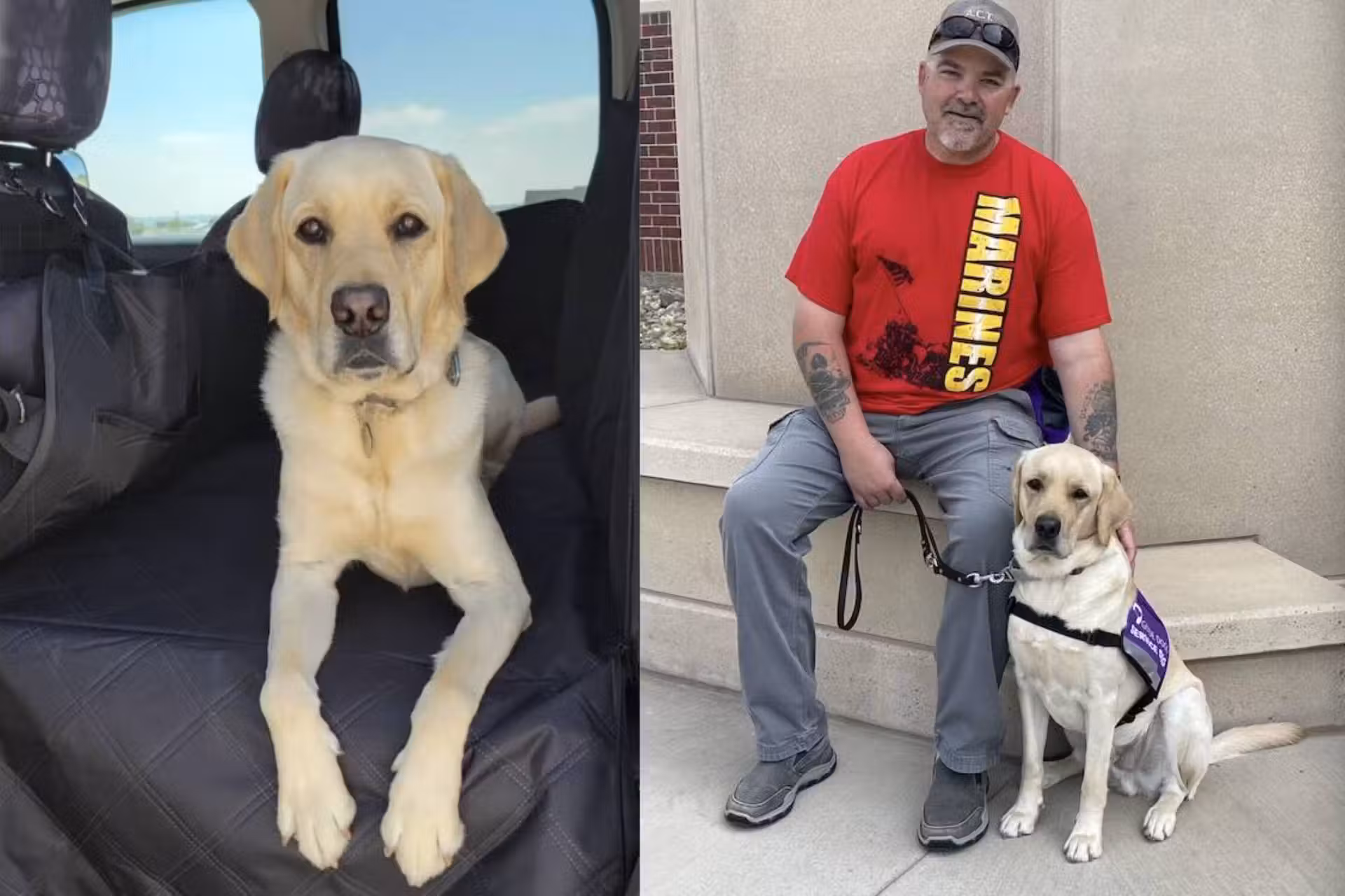 O labrador Tommy salva o tutor Hank Ford, de 54 anos, que estava prestes a ter uma AVC enquanto dormia, em Colorado (EUA). - Foto: arquivo pessoal