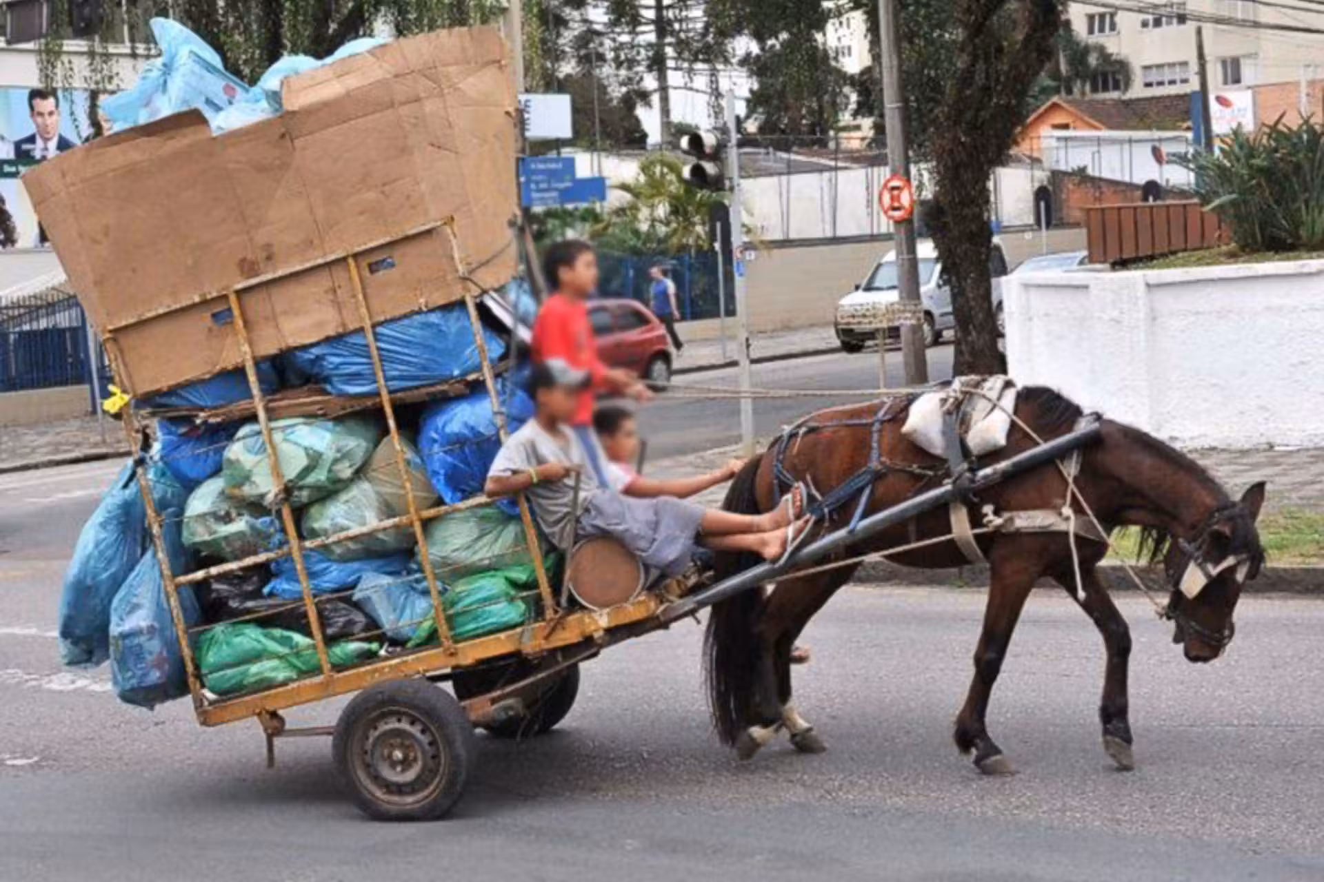 Brasil Proibirá Uso De Animais Para Puxar Carroças: Projeto Aprovado Na Câmara 2 O projeto, aprovado em comissão da Câmara dos Deputados, em Brasília, proíbe animais puxando carroça em todo o Brasil e prevê prisão e multa. - Foto: reprodução/Soama
