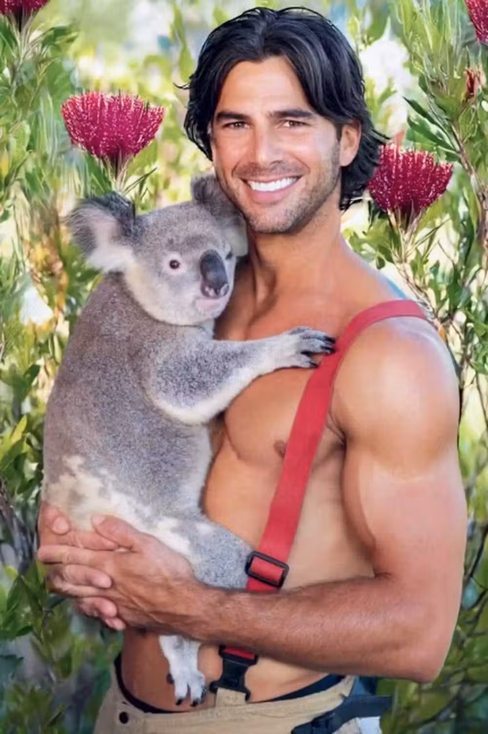Bombeiro com coala. -Foto: Australian Firefighters Calendar