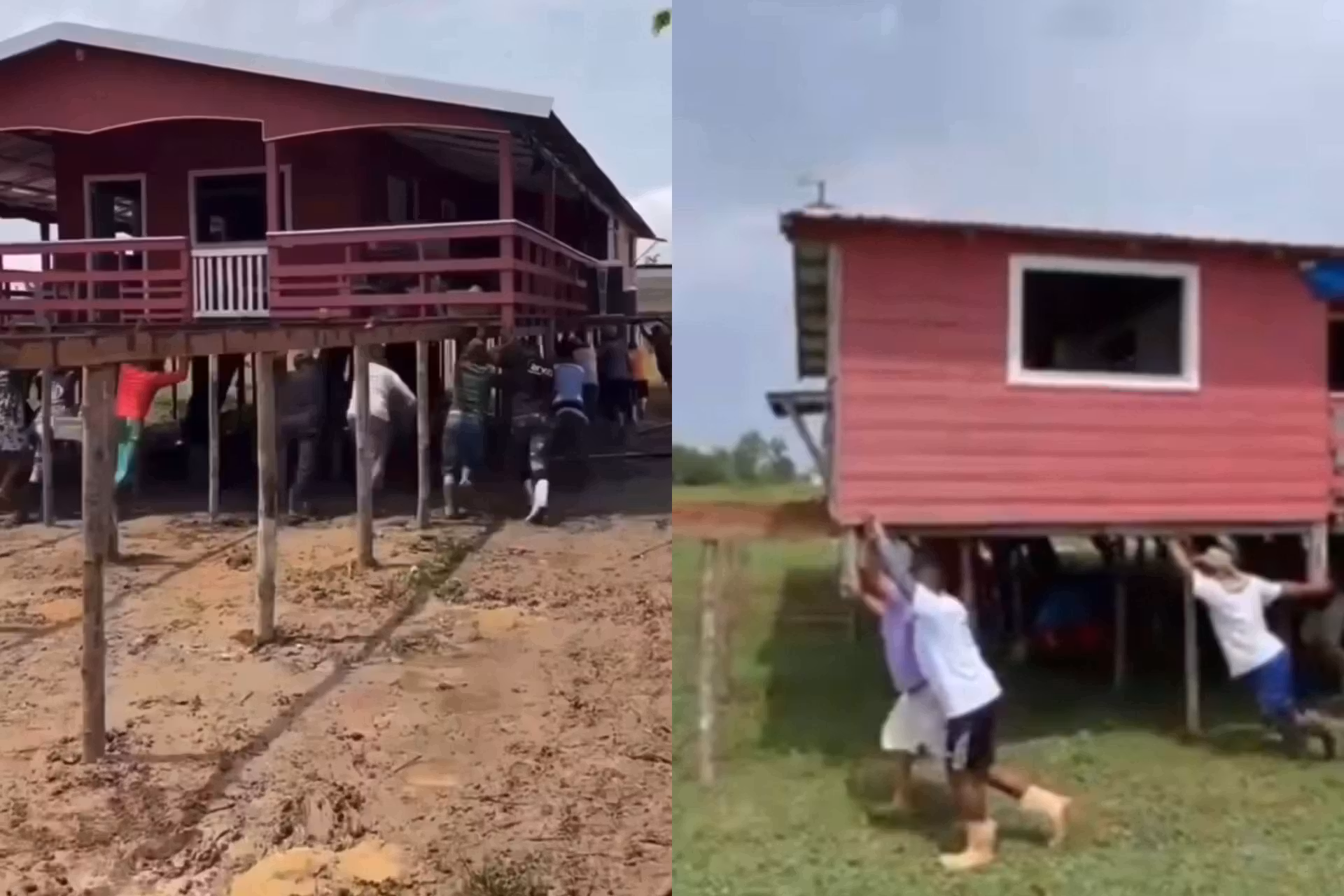 Vários ribeirinhos juntos empurram uma casa de palafita para levar o imóvel de madeira até um local seguro, longe da área de risco em Manaus. - Fotos: reprodução/redes sociais