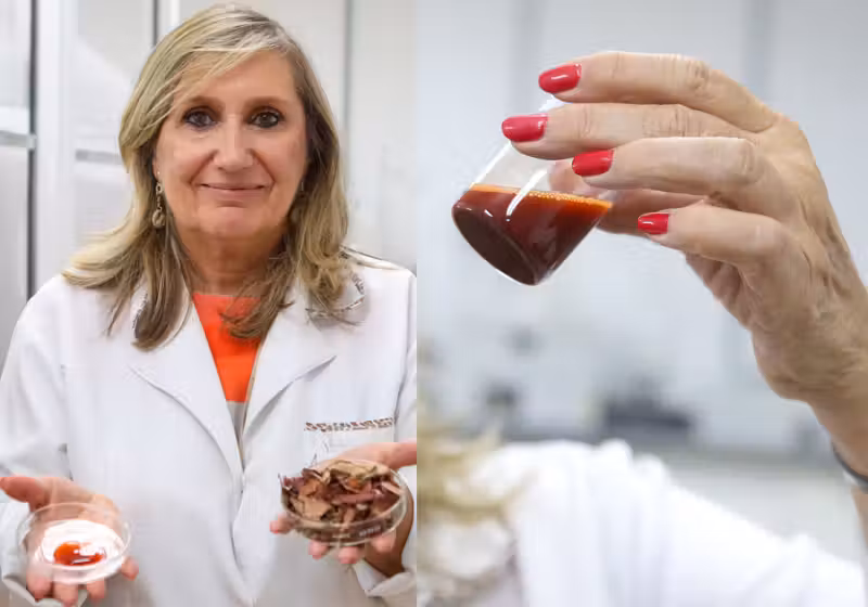 Pesquisadores da Unicamp (SP) aproveitaram os princípios ativos de uma planta e fizeram um gel que cicatriza feridas bem mais rápido - Foto: Unicamp